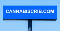 Catchy & Easy to Remember Domain Name cannabiscrib.com For Sale