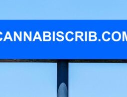 Catchy & Easy to Remember Domain Name cannabiscrib.com For Sale