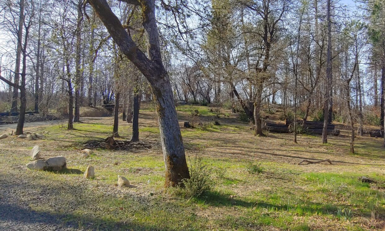 20 Acres with Metal Building and Private Bridge