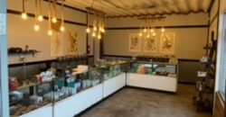 Hemp Grow Facility and Retail Store for Sale in Tennessee