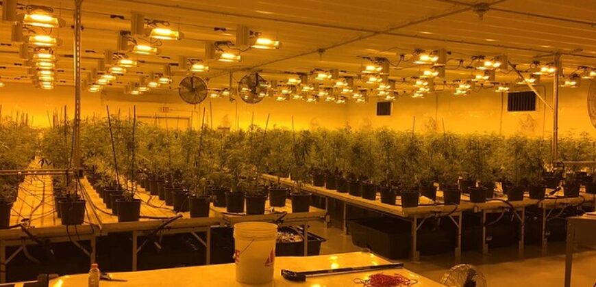 Hemp Grow Facility and Retail Store for Sale in Tennessee