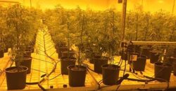 Hemp Grow Facility and Retail Store for Sale in Tennessee