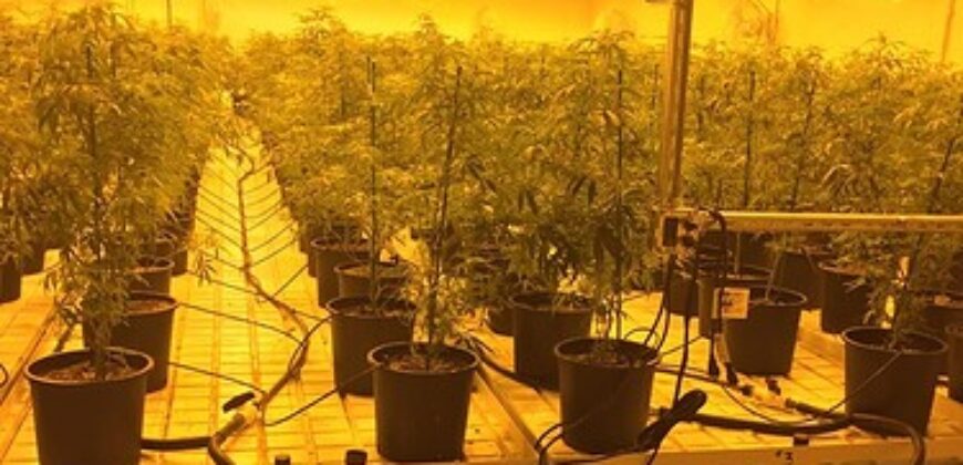 Hemp Grow Facility and Retail Store for Sale in Tennessee