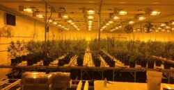 Hemp Grow Facility and Retail Store for Sale in Tennessee