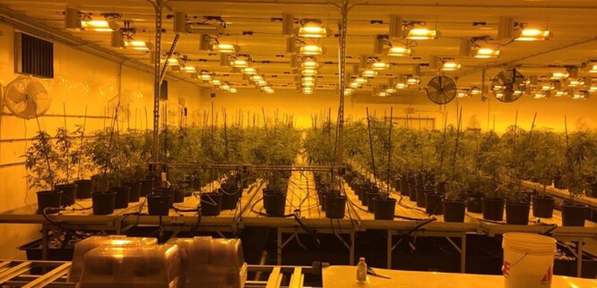 Hemp Grow Facility and Retail Store for Sale in Tennessee