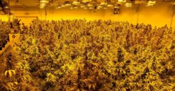 Hemp Grow Facility and Retail Store for Sale in Tennessee