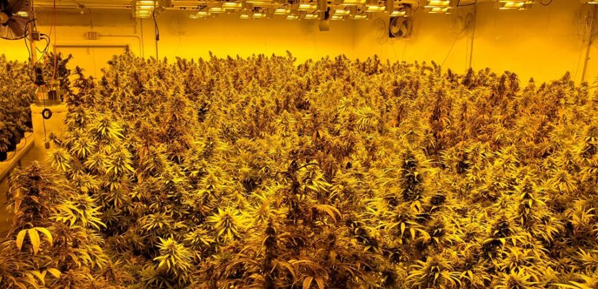 Hemp Grow Facility and Retail Store for Sale in Tennessee