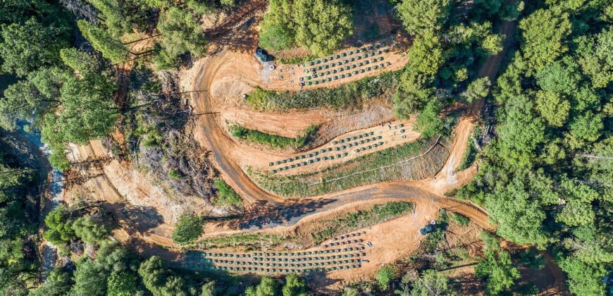 117 Acre Cannabis Farming & Resort-Residential Property (Calaveras County, CA)