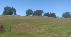 20 Ag Zoned Farmland Acres with Ag Water For Lease