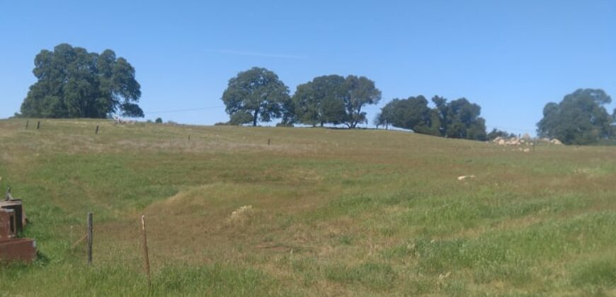 20 Ag Zoned Farmland Acres with Ag Water For Lease