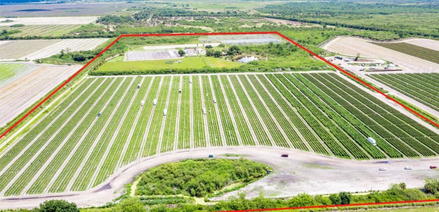 78-Acre Fully Licensed Hemp Farm For Sale in Florida