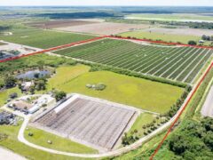 78-Acre Fully Licensed Hemp Farm For Sale in Florida