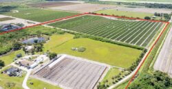 78-Acre Fully Licensed Hemp Farm For Sale in Florida