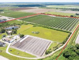 78-Acre Fully Licensed Hemp Farm For Sale in Florida