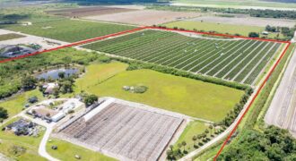 78-Acre Fully Licensed Hemp Farm For Sale in Florida