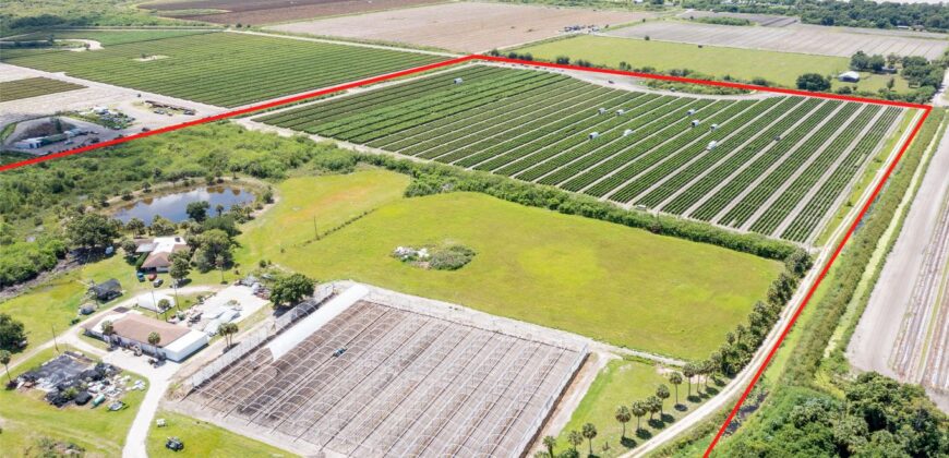 78-Acre Fully Licensed Hemp Farm For Sale in Florida