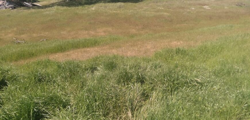 20 Ag Zoned Farmland Acres with Ag Water For Lease