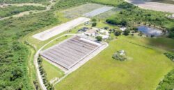 78-Acre Fully Licensed Hemp Farm For Sale in Florida