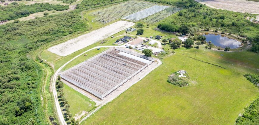 78-Acre Fully Licensed Hemp Farm For Sale in Florida
