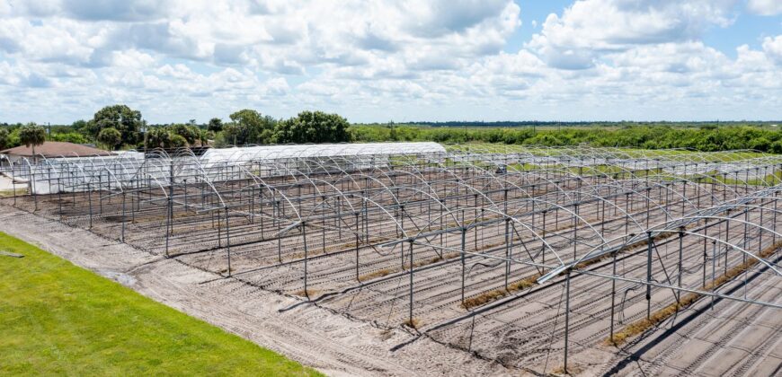 78-Acre Fully Licensed Hemp Farm For Sale in Florida