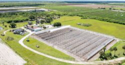 78-Acre Fully Licensed Hemp Farm For Sale in Florida