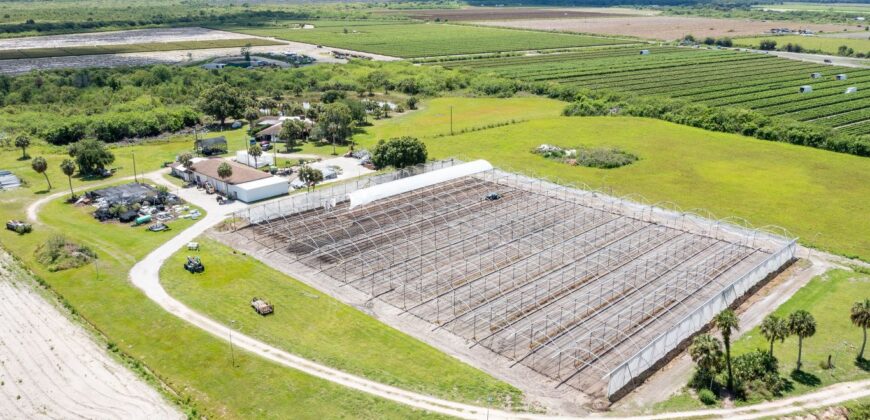 78-Acre Fully Licensed Hemp Farm For Sale in Florida