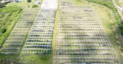 78-Acre Fully Licensed Hemp Farm For Sale in Florida