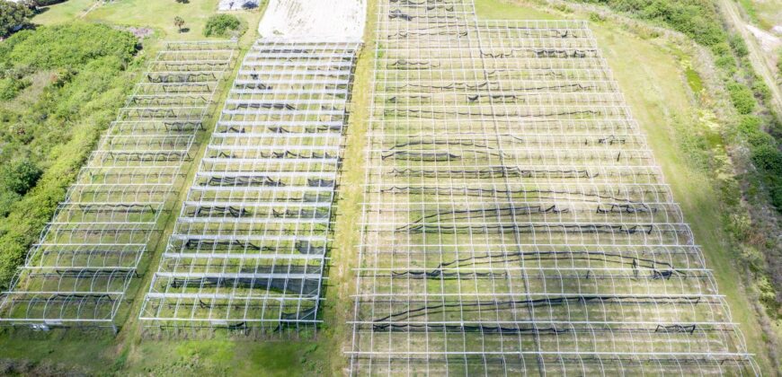 78-Acre Fully Licensed Hemp Farm For Sale in Florida