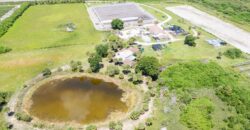78-Acre Fully Licensed Hemp Farm For Sale in Florida