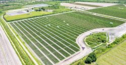 78-Acre Fully Licensed Hemp Farm For Sale in Florida