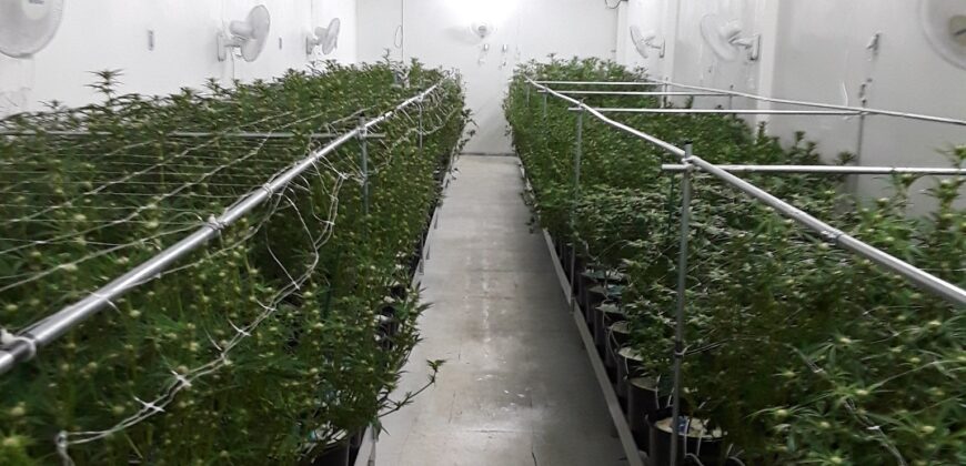 Vertically Integrated Marijuana Business For Sale in Oregon
