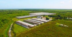 78-Acre Fully Licensed Hemp Farm For Sale in Florida