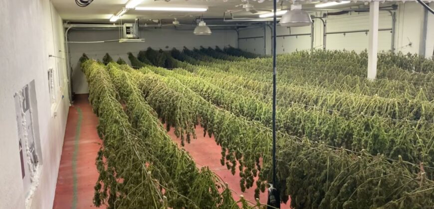 78-Acre Fully Licensed Hemp Farm For Sale in Florida