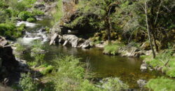 117 Acre Cannabis Farming & Resort-Residential Property (Calaveras County, CA)