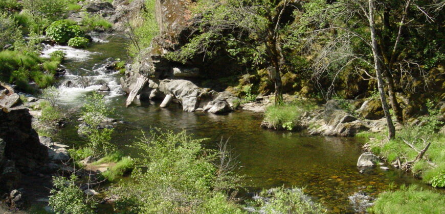 117 Acre Cannabis Farming & Resort-Residential Property (Calaveras County, CA)