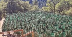 117 Acre Cannabis Farming & Resort-Residential Property (Calaveras County, CA)