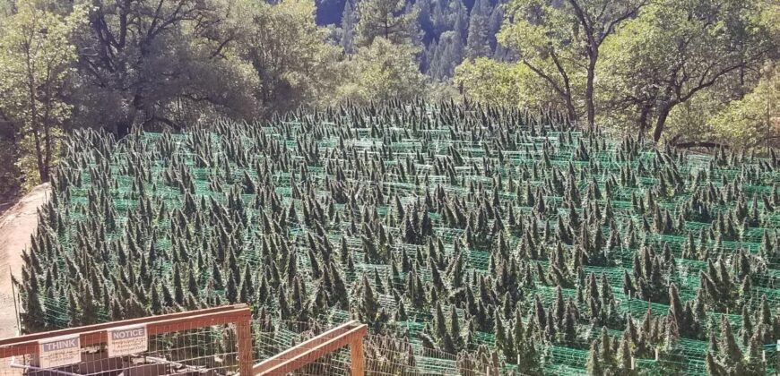 117 Acre Cannabis Farming & Resort-Residential Property (Calaveras County, CA)
