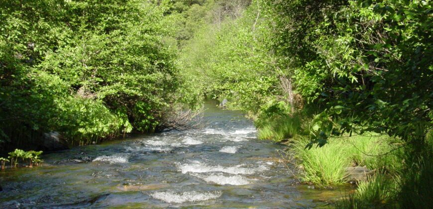 117 Acre Cannabis Farming & Resort-Residential Property (Calaveras County, CA)