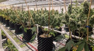 Operational Cannabis Grow Facility, Land & High Efficiency Equipment For Sale in Oklahoma