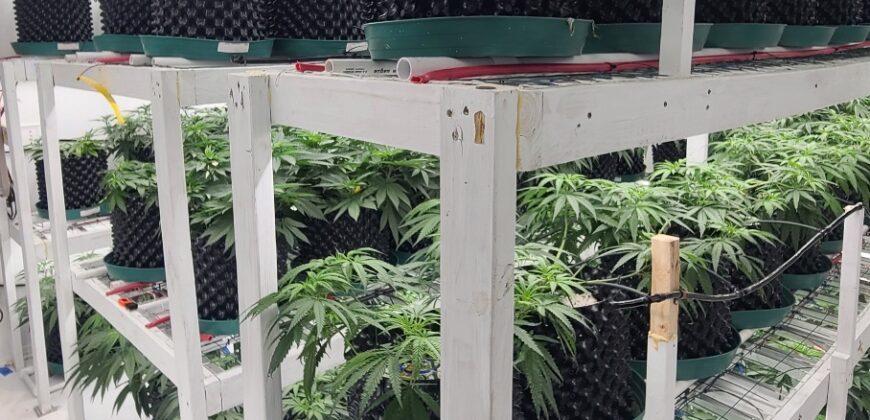 Operational Cannabis Grow Facility, Land & High Efficiency Equipment For Sale in Oklahoma