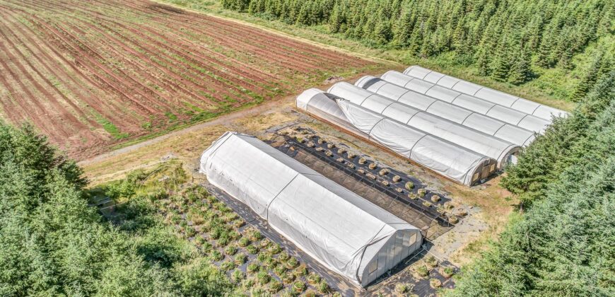 35+ Acres Grow Space, Cultivation Facility & Equipment For Sale in Oregon