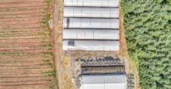 35+ Acres Grow Space, Cultivation Facility & Equipment For Sale in Oregon