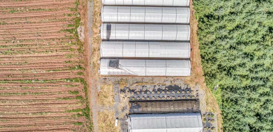 35+ Acres Grow Space, Cultivation Facility & Equipment For Sale in Oregon