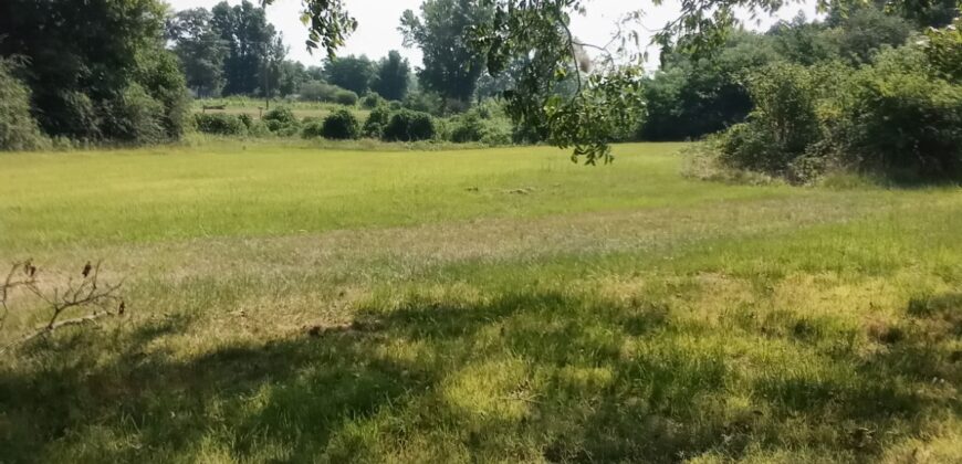 30 Acres of Land for Lease in Alabama