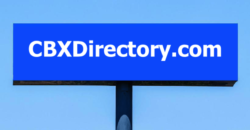 Established Website & Domain Name For Sale – CBXdirectory.com