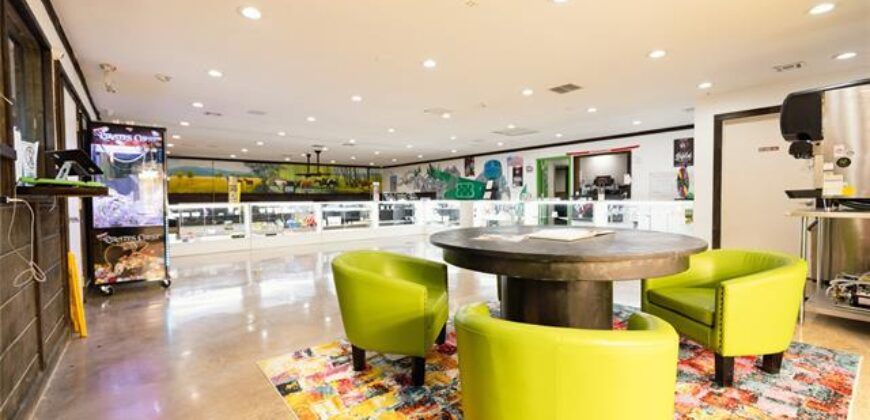 Established, Fully Integrated Dispensary, Boutique Grow & Processing License!