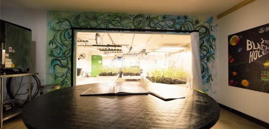Established, Fully Integrated Dispensary, Boutique Grow & Processing License!
