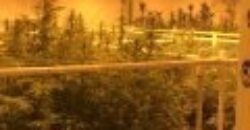 Dispensary, Processing & Grow Facility for Sale in Oklahoma