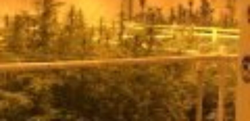 Dispensary, Processing & Grow Facility for Sale in Oklahoma