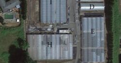 Multiple Greenhouses For Lease with Duplex! over 87,000 SF Available!